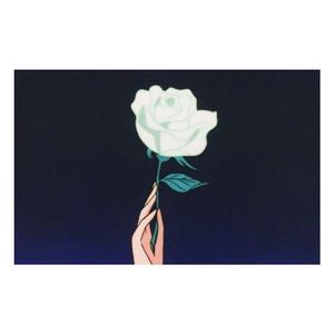 女生100%曝光率可以直接看
