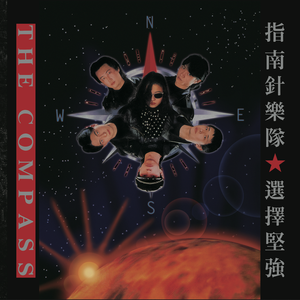 女生100%曝光率可以直接看
